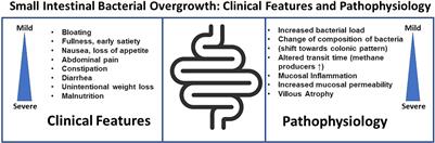 Current and Future Approaches for Diagnosing Small Intestinal Dysbiosis in Patients With Symptoms of Functional Dyspepsia